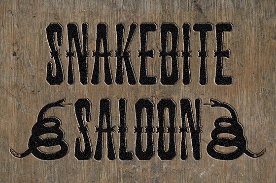Snakebite Saloon: Injecting Frontier Spirit into Modern Design